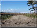 TM4574 : Field Entrance off the B1387 Walberswick Road by Geographer