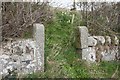 NT2187 : Former gateposts, Dunearn by Becky Williamson