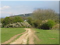 TQ2913 : Bridleway near Pyecombe by Malc McDonald