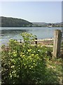 SH7977 : Riverside view of Conwy Castle by Richard Hoare