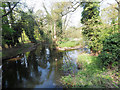 TL8094 : Westerly view from bridge over river Wissey by David Pashley