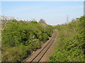 NZ3462 : Railway line near Brockley Whins by Malc McDonald