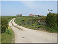 NZ3629 : Farm track near Sedgefield by Malc McDonald