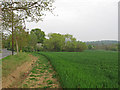 TQ6398 : Arable Land near Trueloves Lane, Ingatestone by Roger Jones