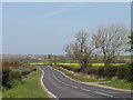 NZ3830 : Butterwick Road, near Sedgefield by Malc McDonald