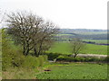 NZ3533 : View near Fishburn by Malc McDonald