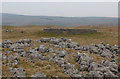 SD9665 : Sheep Pen above Threshfield Quarry (1) by Chris Heaton