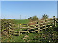 NZ3750 : Footpath stile near Houghton-le-Spring by Malc McDonald