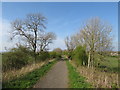 NZ3651 : The Stephenson Trail near Houghton-le-Spring by Malc McDonald