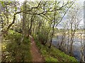 NH7676 : Woodland path around Loch Kildary by valenta