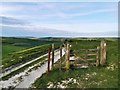 TQ5303 : South Downs Way near Alfriston by PAUL FARMER