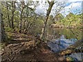 NH7676 : Circular path around Loch Kildary by valenta