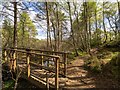 NH7676 : Circular path around Loch Kildary by valenta