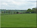 SP2883 : Field south of Oaklands Farm by Richard Law