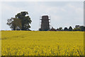 TG4105 : Freethorpe Windmill by Ian S