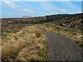 NS4780 : Path through cleared woodland by Lairich Rig