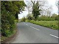 TM4778 : B1126 Wangford Hill, Wangford by Geographer