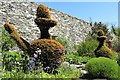 SH5573 : Topiary at Plas Cadnant by Richard Hoare