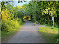 SD4824 : Path in Longton Brickcroft LNR by David Dixon