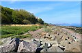 NT3295 : Foreshore at West Wemyss by Bill Kasman