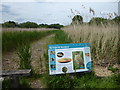 TQ0492 : Springwell Reedbed seen from the Grand Union Canal towpath by Marathon