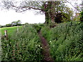 ST6092 : Dried-up rhine near Featherbed Lane, Oldbury-on-Severn by Jaggery