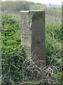 SJ3069 : Hawarden/Englefield Lordship/Flint Boundary Stone near the River Dee (east face) by John S Turner