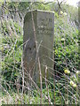 SJ3069 : Hawarden/Englefield Lordship/Flint Boundary Stone near the River Dee (west face) by John S Turner