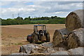 TM2853 : Potato field beside Byng Hall Road by Simon Mortimer