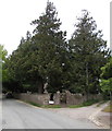 SO5219 : Churchyard trees, Llangrove, Herefordshire by Jaggery