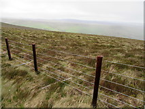  : Fence adjacent to Foel Wen South Top by John H Darch