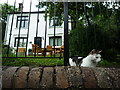 SJ6703 : Cat at the Old School House (Ironbridge) by Fabian Musto