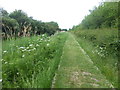 SK7531 : Grantham Canal towpath near Strathern Bridge by Graham Hogg