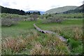 NT2915 : Boardwalk through the Ettrick Marshes by Jim Barton