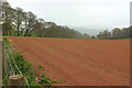 SX8257 : Tilled field by Cottage Plantation by Derek Harper