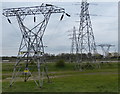 SJ3069 : Electricity pylons next to the River Dee by Mat Fascione