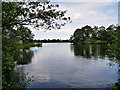 SJ4034 : The Mere at Ellesmere by David Dixon