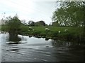 SK4928 : Sheep and lambs near Manor Farm by Christine Johnstone