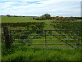 NS4485 : Track to former quarry by Lairich Rig