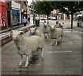 NY1381 : Small flock of sheep, Lockerbie by Richard Sutcliffe