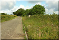 SX6794 : Ringhill Cross by Derek Harper