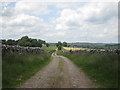 SK1565 : Derby Lane towards Summerhill Farm by John Slater