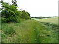 TL1921 : Permissive path alongside the B651, St Paul's Walden by Humphrey Bolton