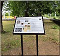 SJ9091 : Brunswick Wesleyan Chapel and Graveyard by Gerald England