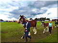 SJ7177 : Royal Cheshire County Show 2019 by Jeff Buck