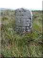 SD9335 : Boundary stone on Warcock Hill Side, Trawden Forest by Humphrey Bolton