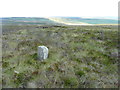 SD9335 : Boundary stone on Warcock Hill Side, Trawden Forest by Humphrey Bolton