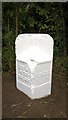 TF1605 : Newly repainted former council boundary stone, Werrington by Paul Bryan