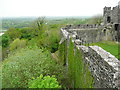 SN6121 : The south curtain wall above woodland, Dinefwr Castle by Humphrey Bolton