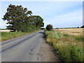  : Summer Road, looking north by Adrian S Pye